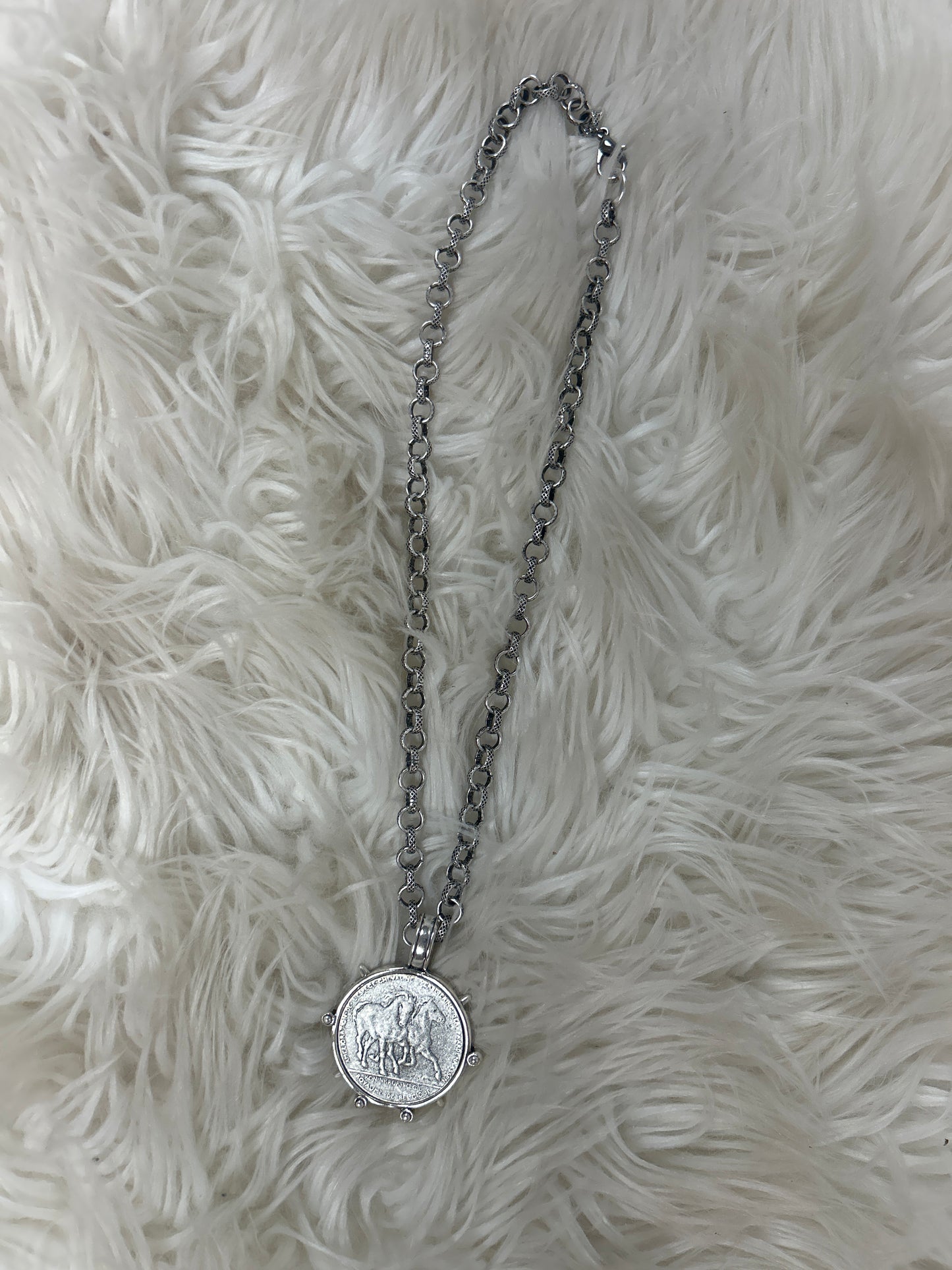 RETAIL Horse Coin Necklace 0226 010