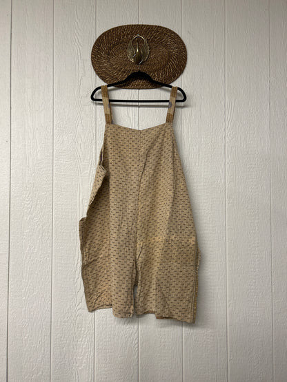 Seeker Shortall 0625 176